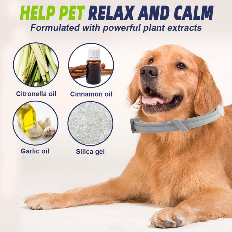 JOBUIZ Flea Collar for Dogs, Flea and Tick Collar for Dogs, 8-Month Long Lasting Protection for Large Dogs, Safe Natural Ingredients Flea Prevention for Dogs, Dog Flea & Tick Control (2 Collars) - BeesActive Australia