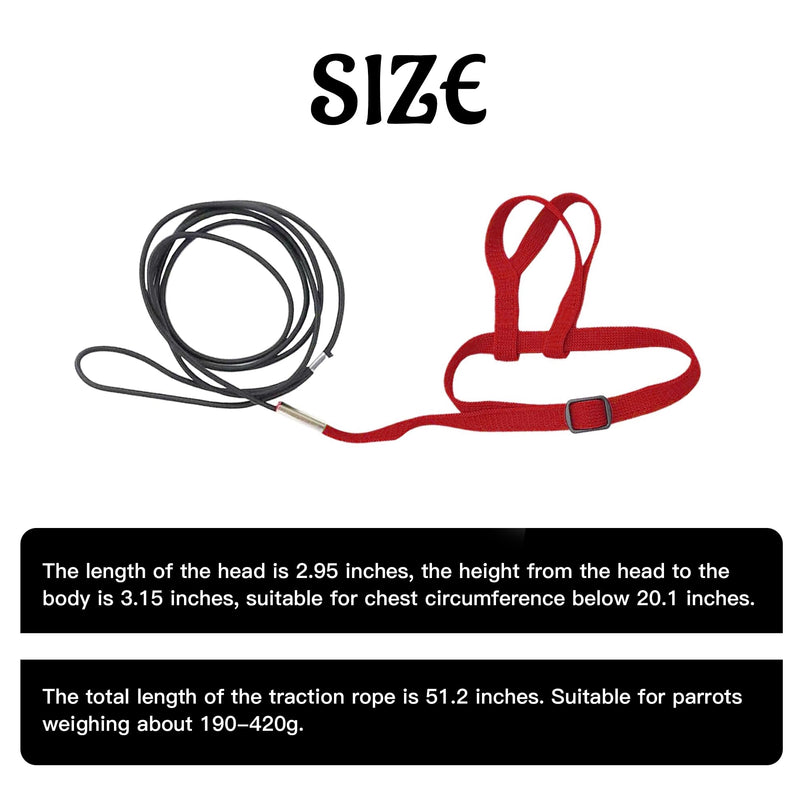 2 pcs Pet Parrot Bird Harness and Leash, Adjustable Training Design Anti-Bite, Outdoor Flying Training Rope Kit for Bird Parrots Fits Birds Chest Between24-51cm /9.45-20inch - M (red red - BeesActive Australia