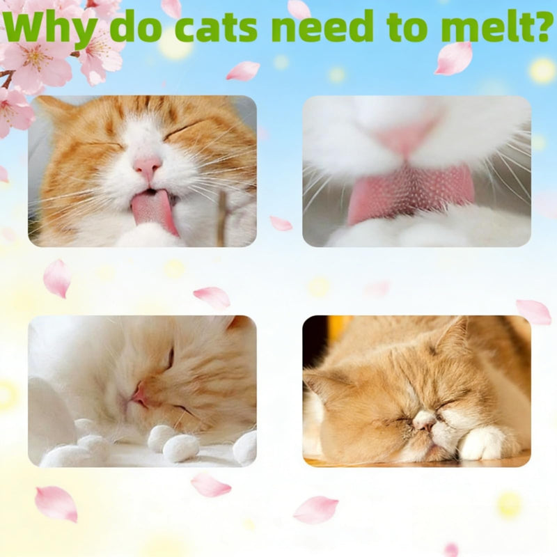 40G Cat Grass for Indoor Cats Dental Treats,Freeze-Dried Chicken Cubes Cat Teeth Cleaning Chew Sticks,Catnip Sticks Dental Stic/ks Teething To/y for Oral Care,Nat/ural Catnip Sti/cks Teething T/oy