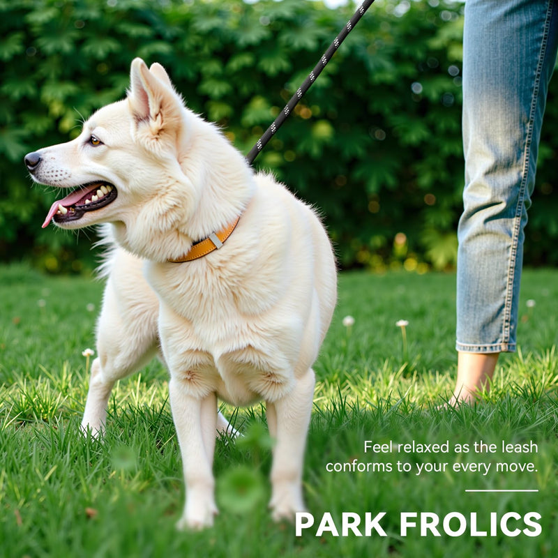 Hands Free Dog Leash, Heavy Duty Waist Leash for Dog Walking Running, Durable 9.8FT Multi-Function Dog Lead No Pull for Medium Large Dogs, Professional Tangle Free Reflective Control Lead Reflective-Black - BeesActive Australia