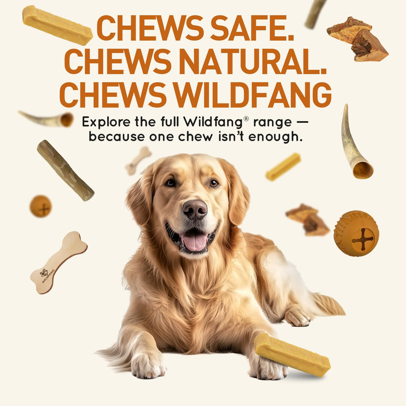 Wildfang® Yak Chews, Medium for Dogs 33-55 lbs – Dog Dental Chew Stick, Hardness Like Himalayan Yak Cheese, Churpi-Style Cheese Sticks, Dog Treats & Puppy Training Treats, Approx 3 oz, Pack of 1 M (Dogs 33–55 lbs)