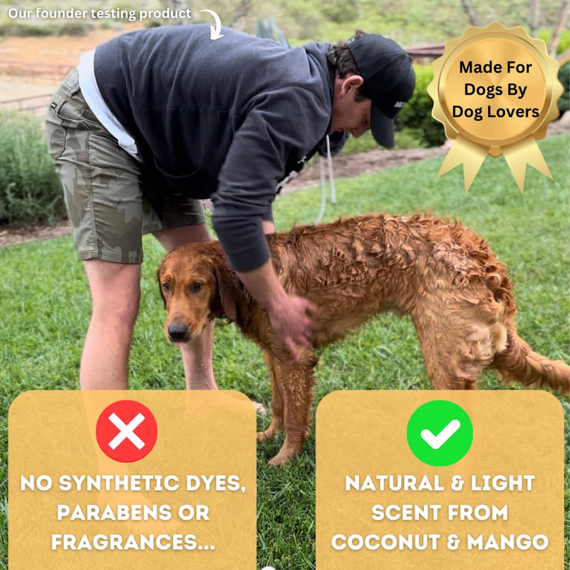 Natural Pet Shampoo - No. 40 Premium 6 in 1 Oatmeal Shampoo For Dogs -Moisturize, Deodorize & Soothe Sensitive Skin for Itchy, Smelly Dogs - Coconut, Aloe & Almond Oil Dog Wash & Pet Care - BeesActive Australia