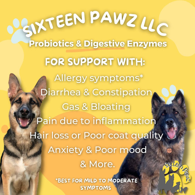 Probiotics, Prebiotics, & Digestive Enzymes for Dogs| Limited Ingredients| Organic |Digestive Support |Allergy Relief |Immune Support| Reduces Inflammation| Diarrhea & Gas Relief 65g - PawsPlanet Australia