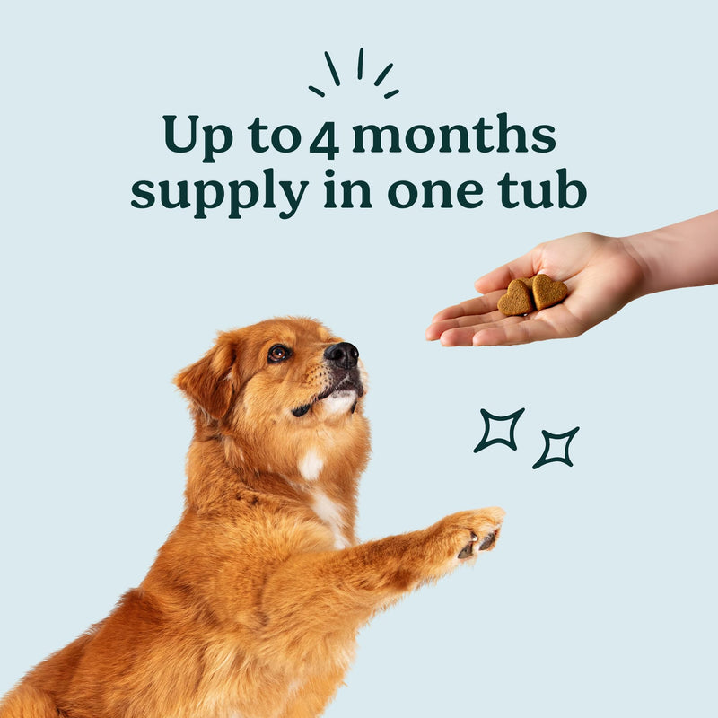 PureBlend Skin & Coat Soft Chews for Dogs — With Colostrum, Salmon Oil, Probiotics & Brewer's Yeast — Dog Coat Supplement — 120 Chews, Up to 4 Month Supply