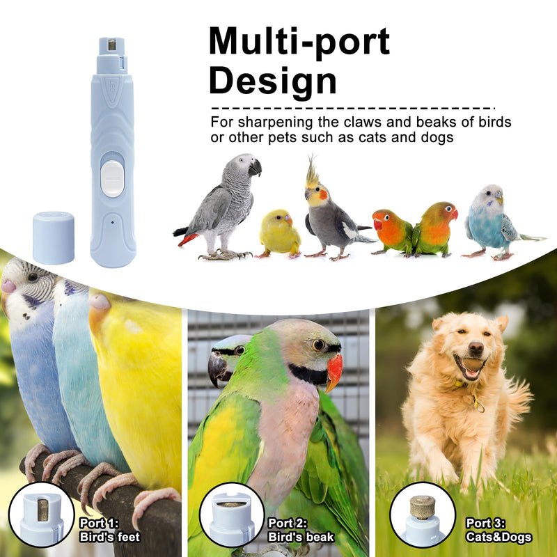 Bird Nail Grinder,Bird Beak Grinder,Silenced Bird Nail File with LED Lamp,Suitable for Budgerigars,Parakeets,Conure,Parakeets,Crested Myna,Lovebirds, Finches. - BeesActive Australia