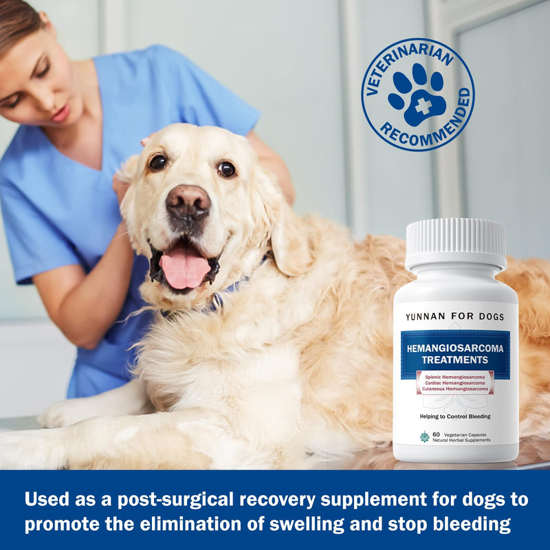 Fast Acting Bleeding Control for Dogs - Yunnan Sanqi Herbal Capsules, Supports Internal Bleeding, Hemangiosarcoma, Nosebleeds, Bloody Stools, Post-Surgical Recovery, 60 Capsules