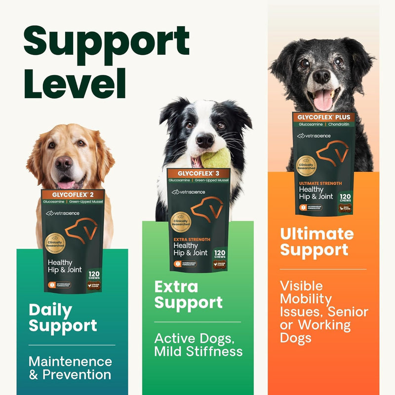 VetriScience Ultimate Strength Healthy Hip & Joint Chews, GlycoFlex Glucosamine, Chondroitin and Green-Lipped Mussel Joint Supplement for Small Breed Dogs, Soothe Joint Discomfort, Duck, 60 Count Small Breed - Ultimate Strength