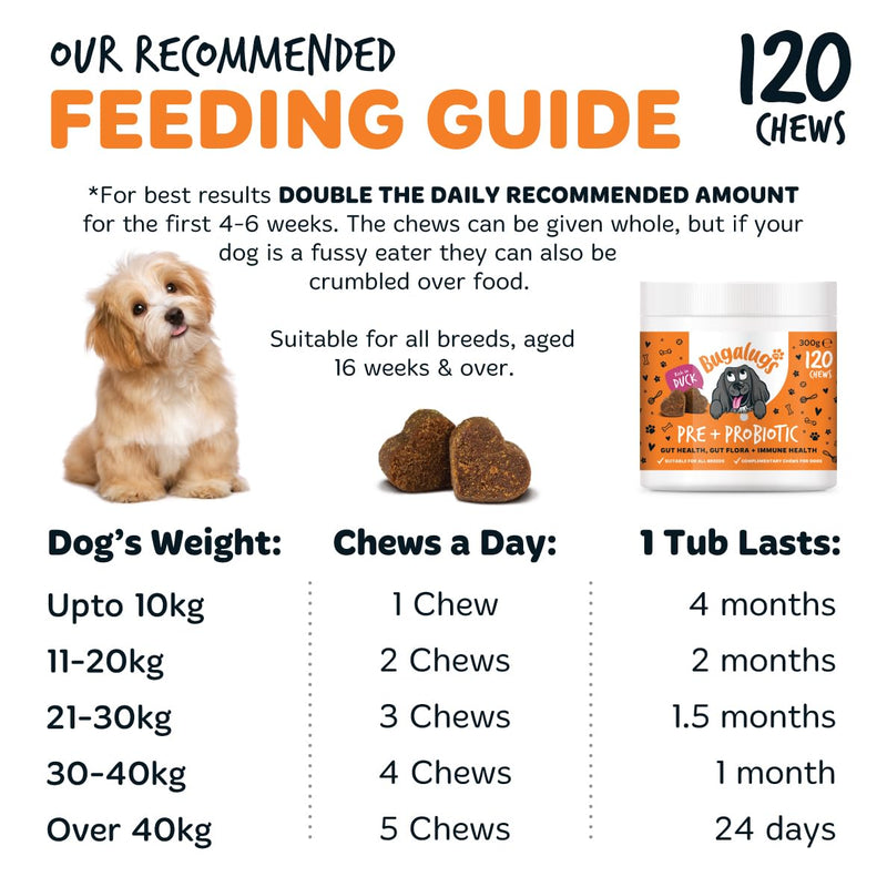 Bugalugs Probiotics for Dogs Natural Dog Treats with Pumpkin Powder for dogs – Gut Health, Sensitive Tums, Anal Glands, Scooting, Loose Stools, Smelly, Itchy Ears, Great for all dogs Probiotic Chews 300g