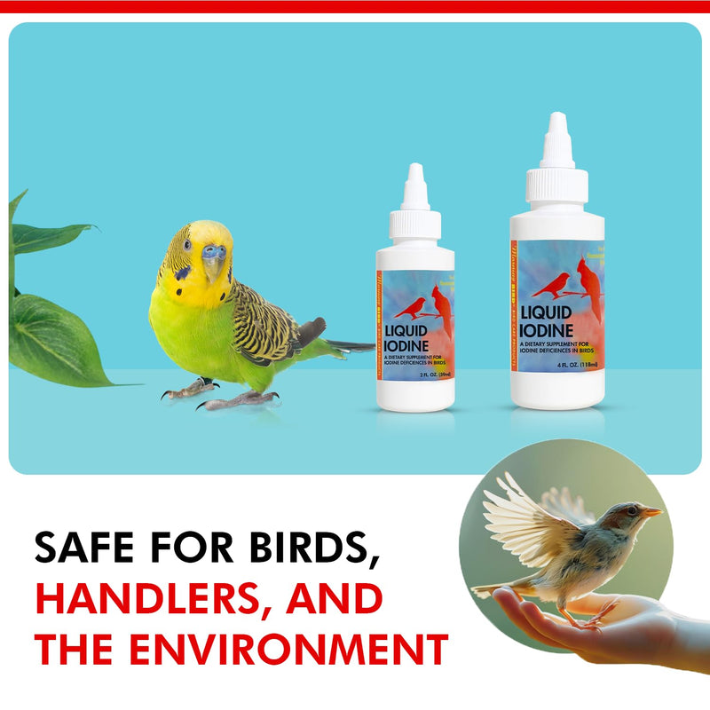 Morning Bird Liquid Iodine for Birds 4 fl oz – Iodine Mineral Supplement – Supports Feather Growth, Molting, Energy & Healthy Thyroid Function – Easy-to-Use Drops