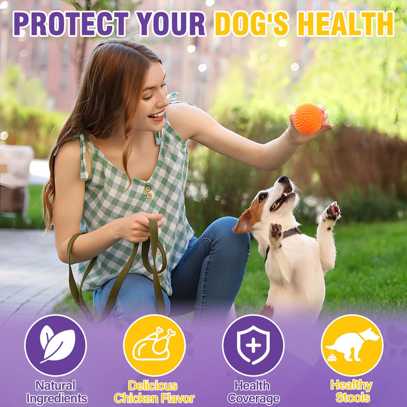 Dog Anal Gland Soft Chews 150 Stop Scoot for Dogs Supports Anal Gland Bowel Function Digestive Health Fiber Pumpkin Supplement for Dogs Pet Diarrhea Bowel Support Probiotics Digestive (Chicken Flavor) 150 Count(Pack of 1)