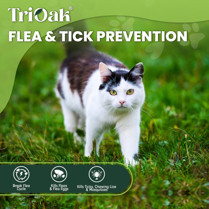 Flea and Tick Prevention for Cats: Flea & Tick Topical for Cats Over 1.5lbs, 6 Dose Flea and Tick Control/Prevention for 6 Months (6 Pack) 6 Pack