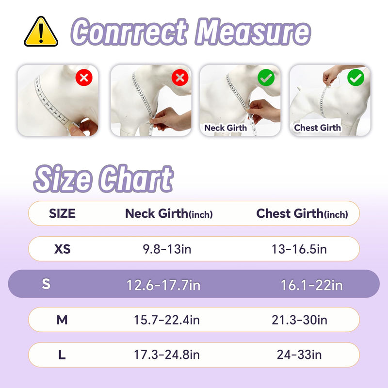 Dog Harness Leash Set, No Pull Adjustable Halter Cute Comfort Padded Handle for Medium Sized Large Small Dogs Walking Training Running with Reflective（Small,Purple） Purple - BeesActive Australia