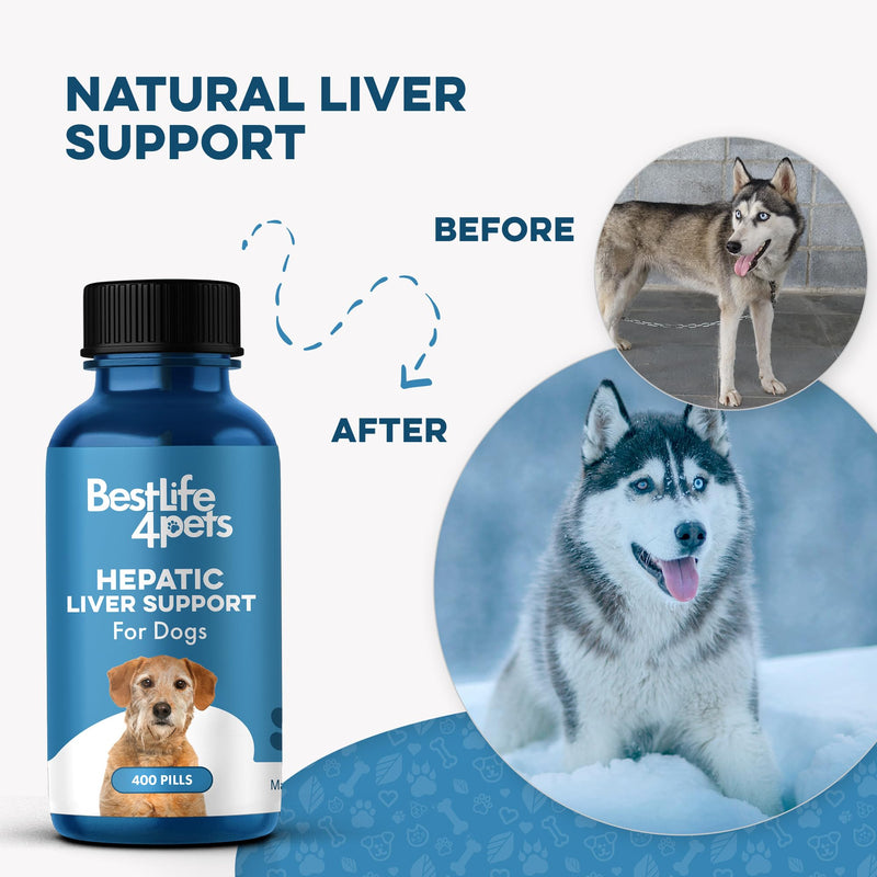 Hepatic Liver Support for Dogs, Dissolvable Homeopathic Digestive Canine Supplement for Liver Detox and Nutrient Absorption, 100% All Natural, Easy to Give, Free of Chemicals or Additives, 400 Pills - PawsPlanet Australia