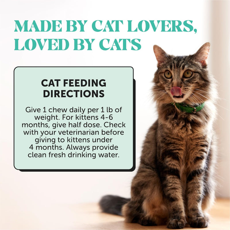 Pet Honesty Cat Dental & Multivitamin Chews Virtual Bundle — Fresh Dental Bites + Multivitamin Crunchy & Creamy Chews (30-Day Supply)