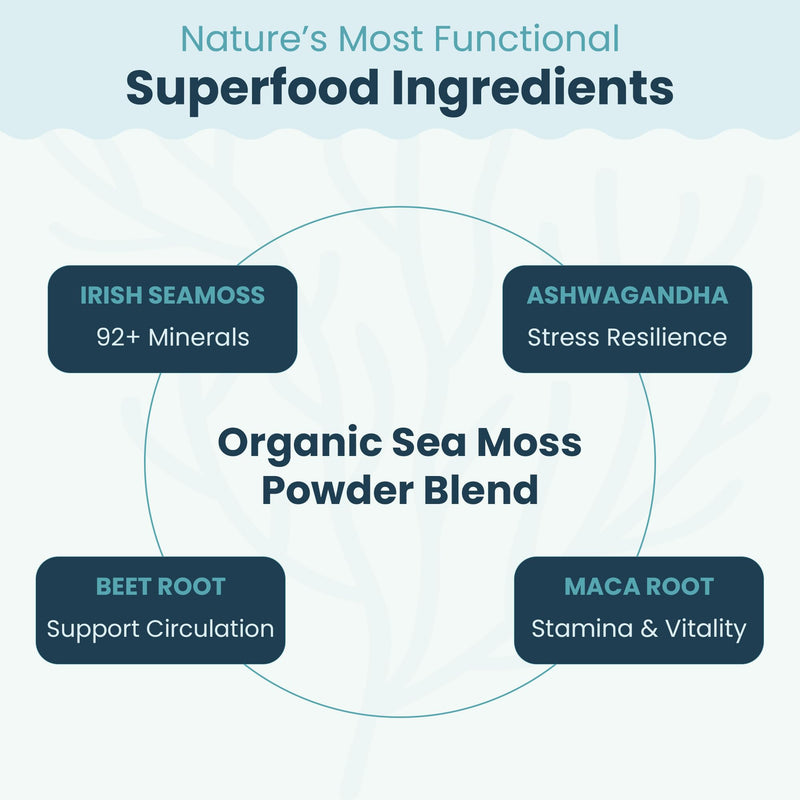 Atlantic Naturals Superfood Organic Sea Moss Powder Blend with Ashwagandha, Maca Root & Beet Root | Ideal for Healthy Skin, Positive Mood & Energy | Vanilla Flavor (150g)