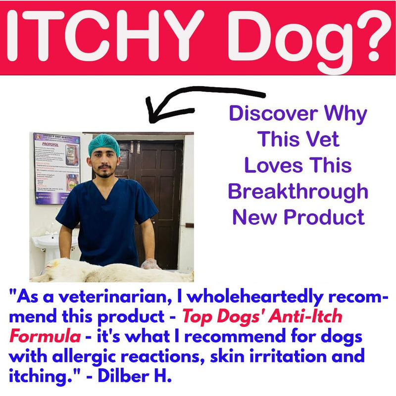 Top Dog Anti-Itch Allergy Support - Itchy Skin Fur Relief Dog Immune Booster Tablets UK Made 30