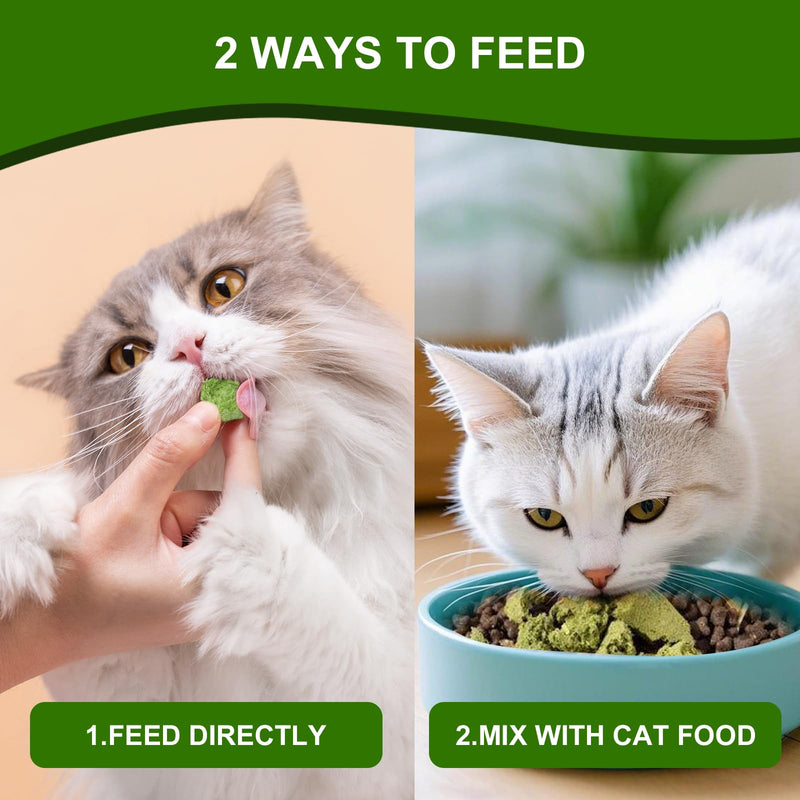 100g Freeze-Dried Cat Grass Treats, Natural Hairball Treatment for Cats, Edible Cats Chew Toy Cat Treats Snack for Teething Cleaning Hairball Removal 3.53 Ounce (Pack of 1)