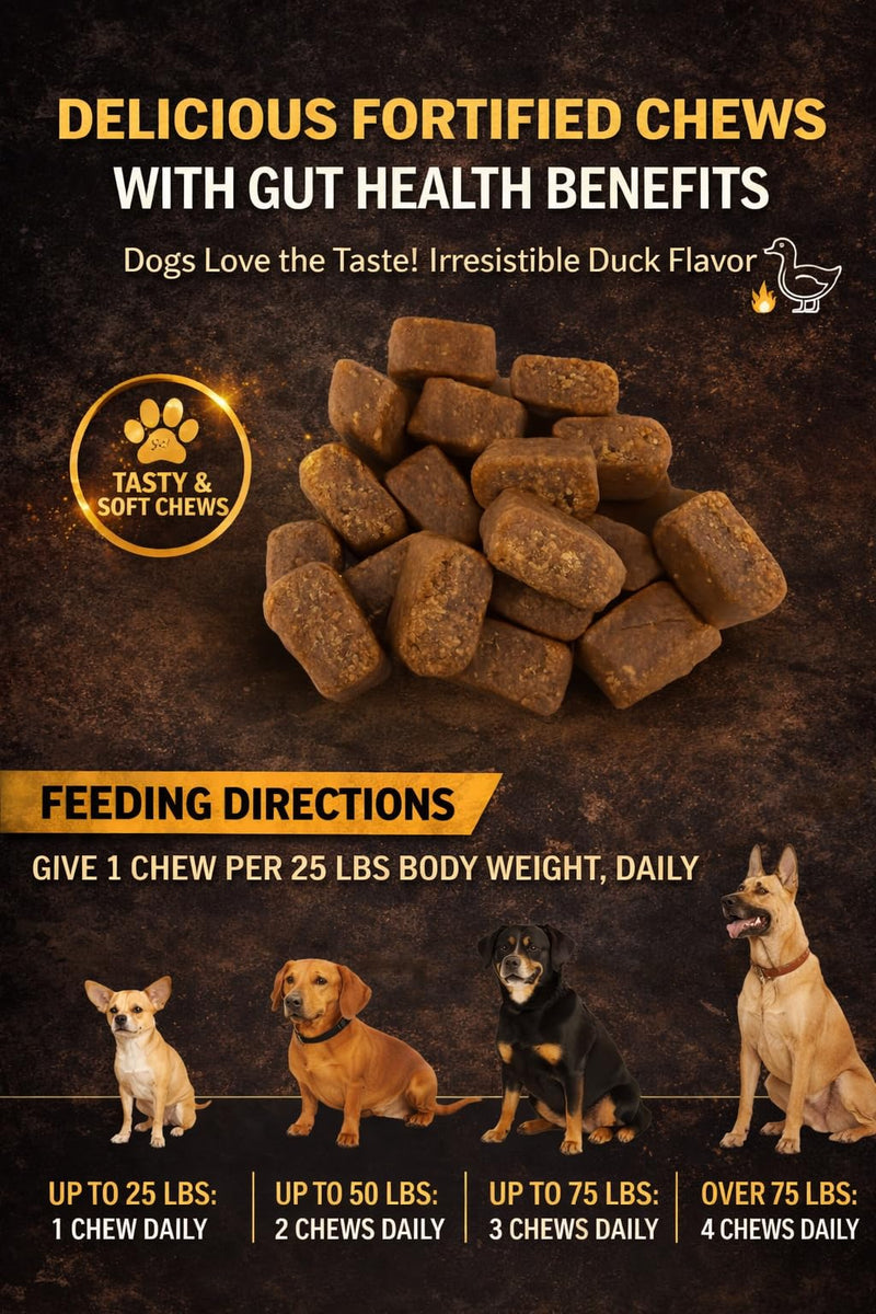 Braveheart K9 Gut & Immunity Care Dog Supplement, Veterinarian Formulated, Dual Action Prebiotic & Probiotic System, Fortified Soft Chew, 160 Count