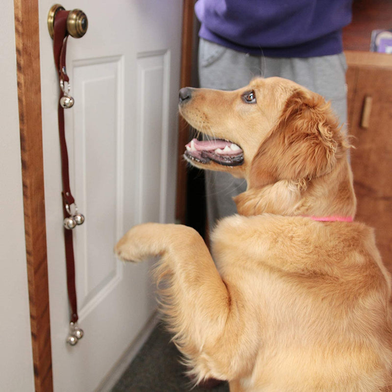 Leather Dog Doorbells for Door Knob/Potty Training/Go Outside, Length Adjustment Copper Dog Bell, Housetraining Hanging Bell, Brown Leather Golden Bells. - BeesActive Australia