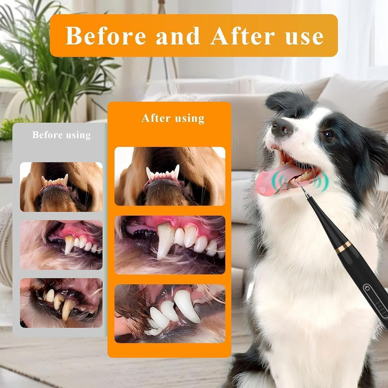 Dog Teeth Cleaning Dog Plaque Remover Dog Tartar Remover Plaque Remover For Teeth Dogs Dog Teeth Cleaning Products