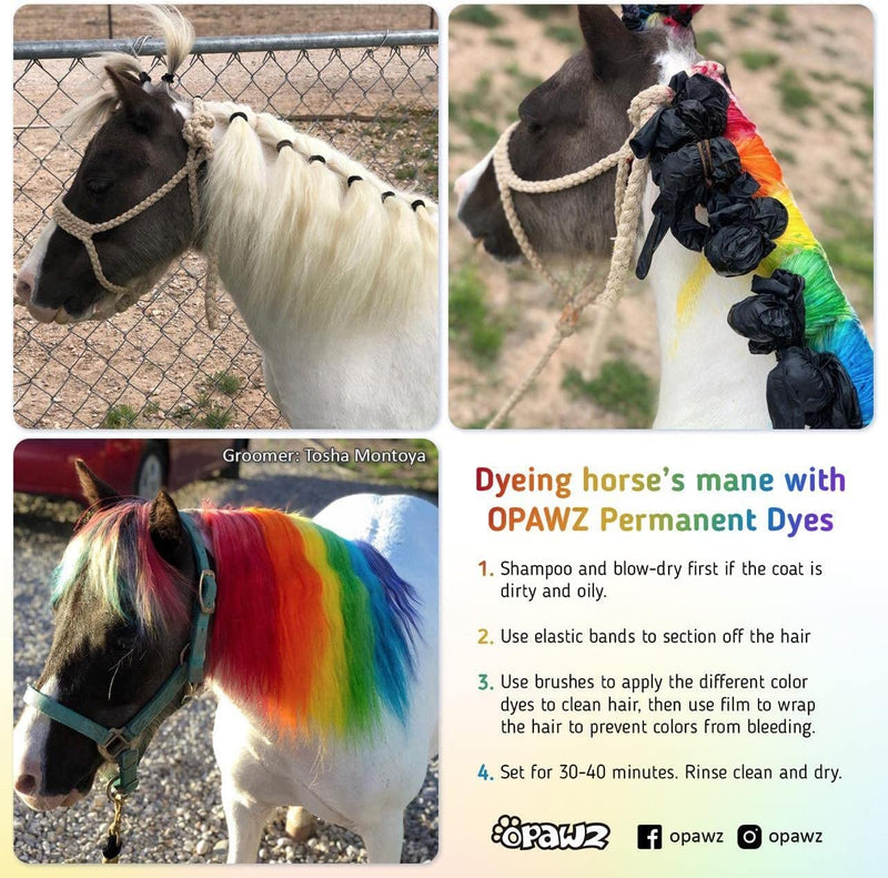 OPAWZ Permanent Dog Hair Dye, Pet Hair Dye Safely Used by Grooming Salons for a Decade, Pet Safe Dye Lasts Over 20 Washes, Bright Color for Dogs and Horses (Adrian Pink) Adrian Pink - BeesActive Australia