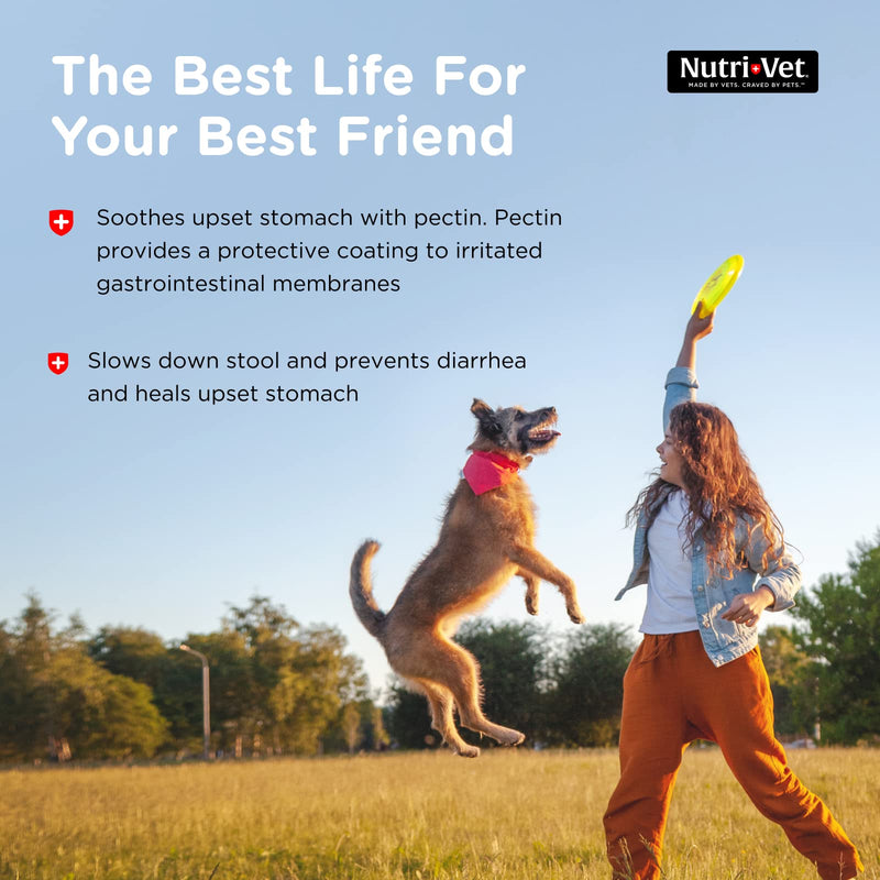 Nutri-Vet Anti-Diarrhea Liquid for Dogs - Helps Sooth Dogs Upset Stomach & Stop Diarrhea - Veterinarian Formulated - 4 oz - BeesActive Australia