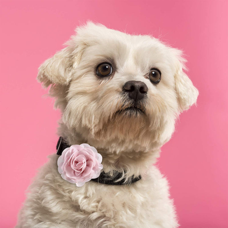 WILLBOND 26 Pieces Pet Collar Flowers Multi-Color Dog Charms Flower 5 cm Pet Flower Bow Tie for Cat Puppy Dog Collar Grooming Accessories, 26 Colors - BeesActive Australia