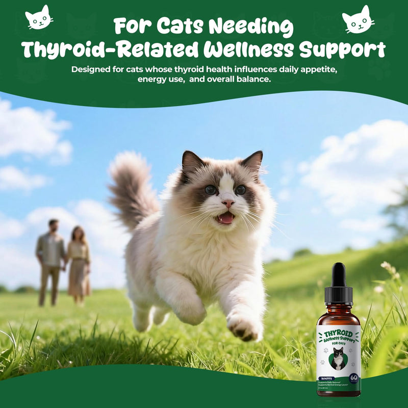 Thyroid Support for Cats, Appetite Stimulant Cat Drops & Weight Gainer, Daily Herbal Drops with Bladderwrack, Astragalus & Nettle Leaf, Supports Metabolism Balance & Everyday Vitality, 2 fl oz