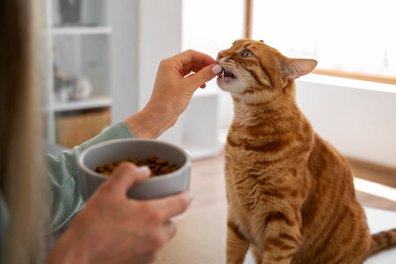 Canina Barfer's Best for Cats, 500 g - BeesActive Australia