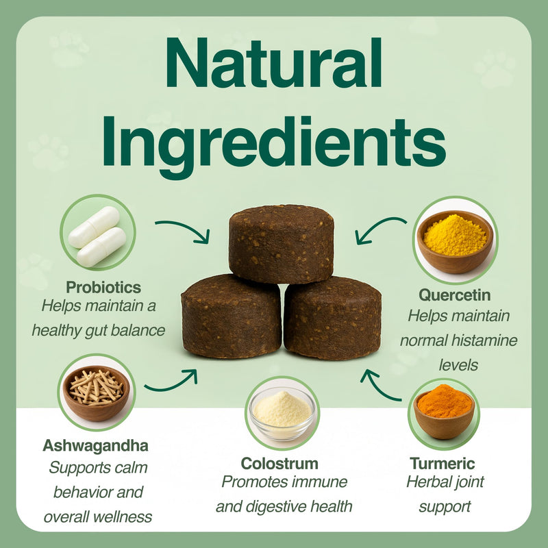 BAZI Allergy Relief Dog Chews – Quercetin, Turmeric, Ashwagandha, Probiotics & Colostrum – Seasonal Allergy, Immune & Digestive Support – for Itchy Skin & Hot Spots – All Breeds & Sizes