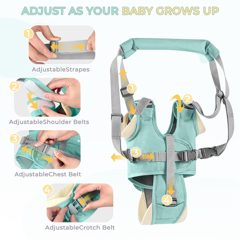 Baby Walking Harness, Handheld Baby Walking Helper for Toddlers with Detachable Crotch, Walk Support Assist Trainer Tool for 7-24 Month Old(Green) Green - BeesActive Australia