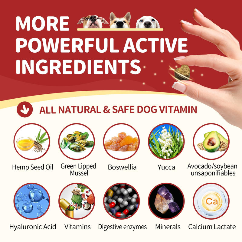 NATURE TARGET Probiotics for Dogs 6 Billion Freeze Dried Probiotics Bundle with Glucosamine for Dogs