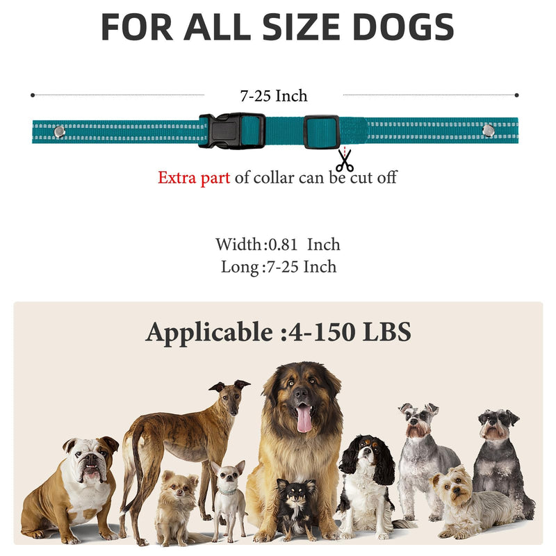 Collar Replacement Strap, Reflective Replacement Nylon Collar Strap Dog GPS Training Bark Receiver Collars, Durable Adjustable E Collar Straps for Small Medium Large Dogs, Green - BeesActive Australia