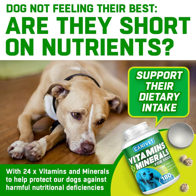 Multivitamins for Dogs | 180 x Chicken Flavour Tablets | 24 x Essential Dog Vitamins & Minerals | Full Spectrum Health Supplement for Dogs | Up-to 1 x Year’s Supply | Premium Quality