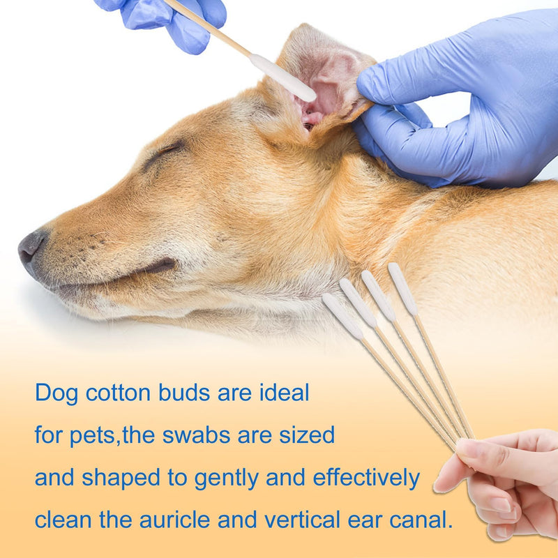 Large Ear Buds Cotton for Dogs & Cats – 50 Pcs Pet Ear Cleaner Cotton Buds, Long Cane Cotton Buds for Deep Ear Wax Removal, Gentle Infection Care for Dog and Cat, 5.9 Inch (15cm) Long