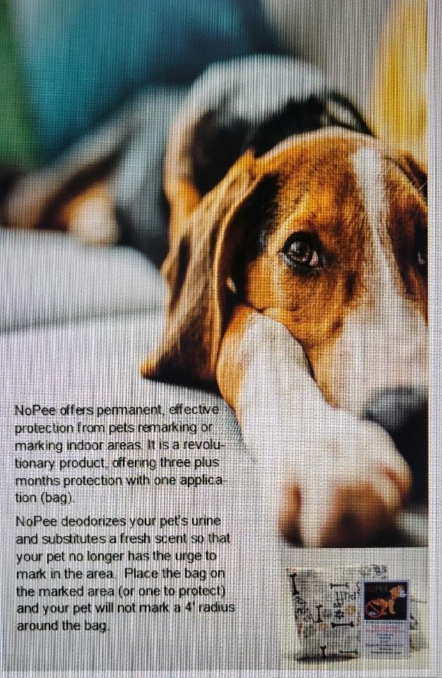 Dog Marking Prevention - Indoor -Permanent - Effective Solution -Stops Dogs from Marking or Peeing - eliminates a Dog's urge to Mark. Put Bag Down and Your Problem is Solved! (Blue (White Paws) - PawsPlanet Australia
