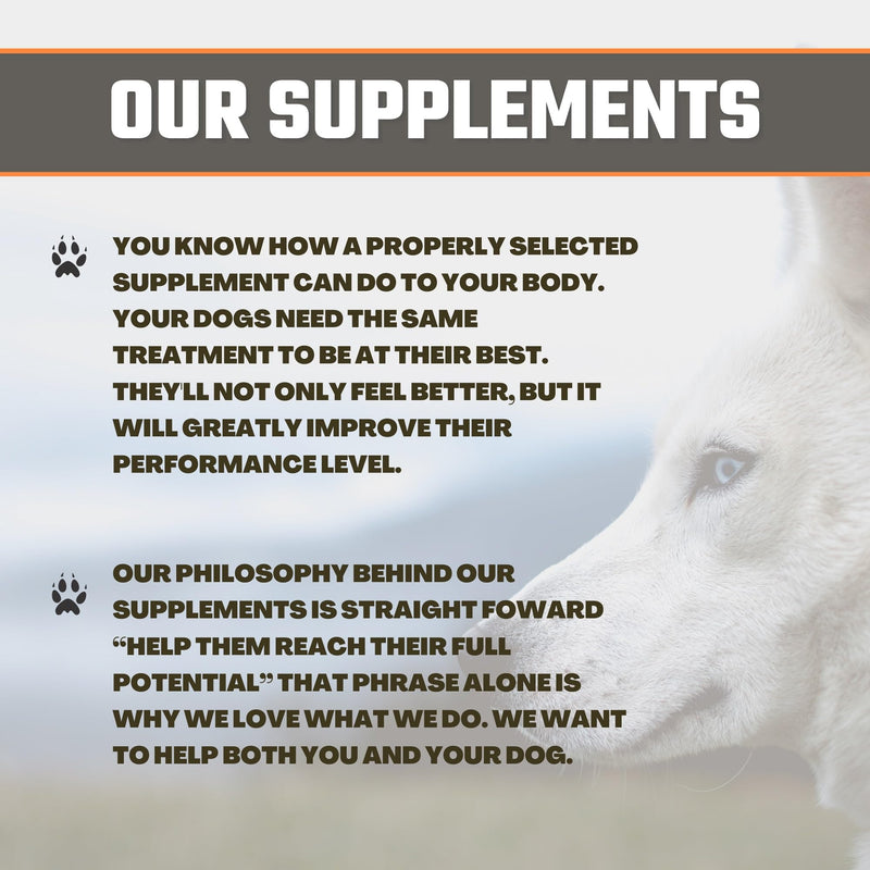 Turmeric Joint Supplement for Dogs: Pain Relief & Anti Inflammatory Support with Glucosamine, MSM, Beef Liver Powder, Egg Shell Membrane & Turmeric Root Blend - 60 Chews - PawsPlanet Australia