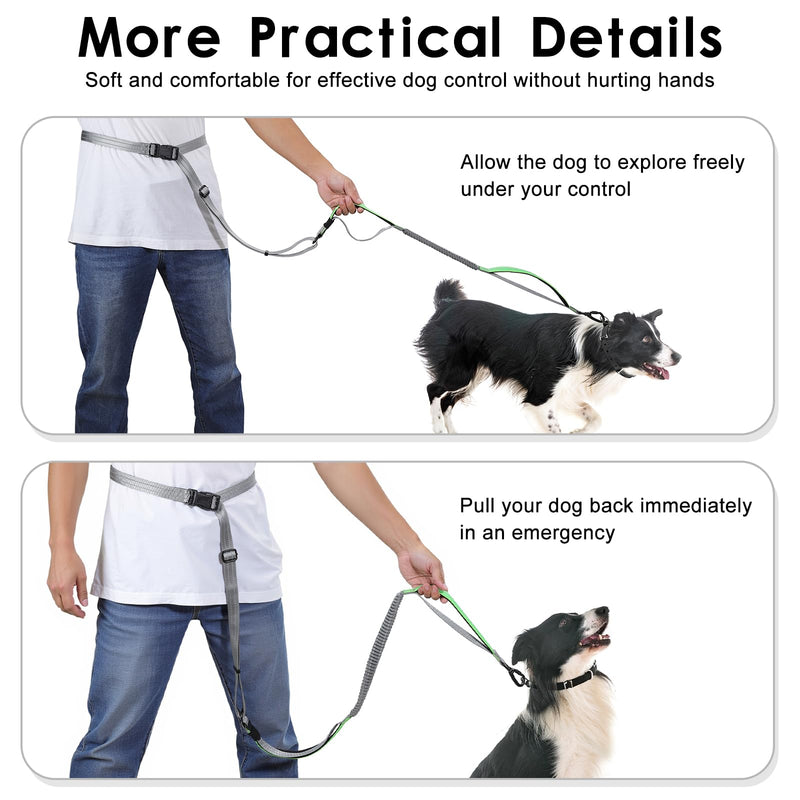 Hands Free Dog Leash, 8.2 FT Waist Leash for Walking, Jogging, Hiking, Adjustable Crossbody Belt with Double Padded Handles, Bungee Car Seatbelt Design for Medium Large Dogs, Gray + Green