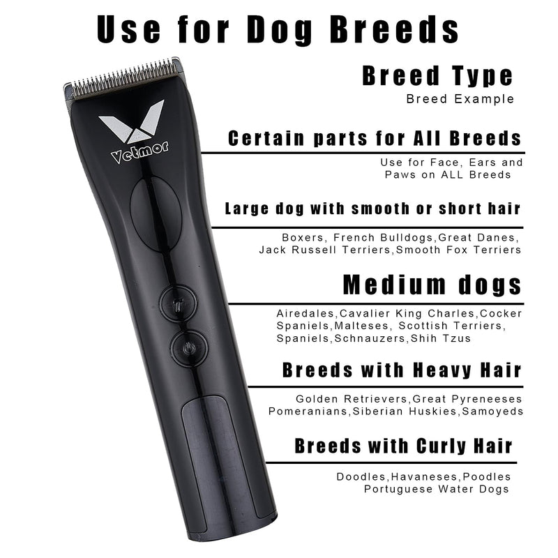 Professional Animal Pet Dog Cat and Horse Cordless Hair Clipper Grooming Kit with 5 in 1 Blade - BeesActive Australia