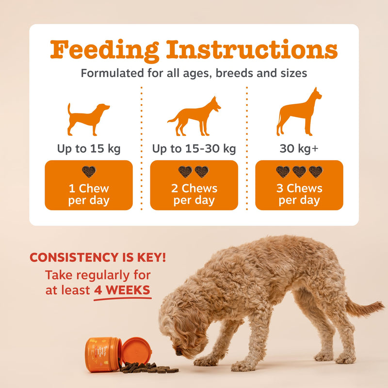 Zesty Paws Itch & Immunity Chews for Dogs | Soothes Skin, Paws & Ears from Licking & Scratching, Helps Immune Function, Skin & Gut Health | Contains Salmon Oil & Probiotics | Daily Use | 90 Chews