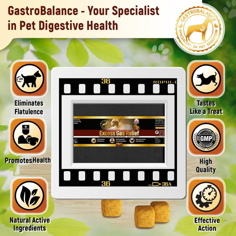 flatulence relief for dogs natural remedy to cure dog wind farts (Bacon flavour) Bacon flavour