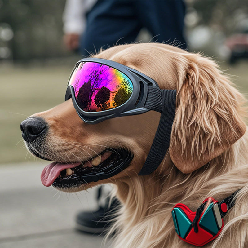 Shockproof Dog Eye Protectors Sunglass with Flexible Frame Adjustable Strap Pet Goggles for Ski Mountain Hiking Gear PC TPU Dog Goggles Transparent lenses