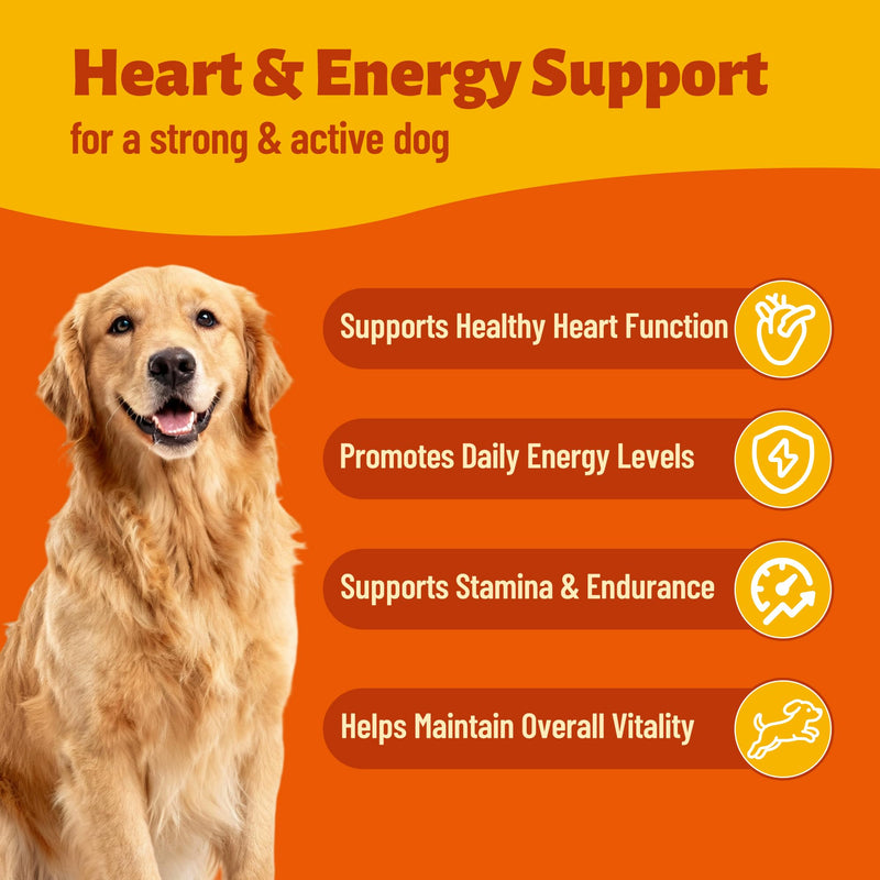 Taurine Powder for Cats & Dogs, Chicken Flavor, Taurine for Cats, Feline Heart Supplements, Support Vision, Heart & Immunity Suitable, for Cats & Dogs of All Ages 4.23 oz 4.23 Ounce (Pack of 1)