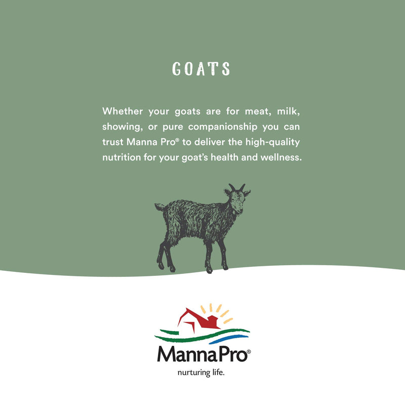 MannaPro Hoof Heal 32 Fl. Oz. - BeesActive Australia