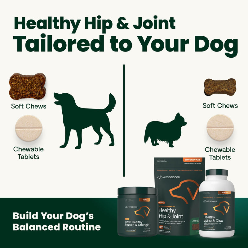 VetriScience Ultimate Strength Healthy Hip & Joint Chews, GlycoFlex Glucosamine, Chondroitin and Green-Lipped Mussel Joint Supplement for Small Breed Dogs, Soothe Joint Discomfort, Duck, 60 Count Small Breed - Ultimate Strength