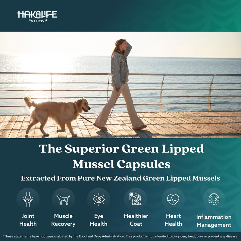 GLX3 Green Lipped Mussel Oil for Dogs | Joint & Hip Comfort Omega-3 Supplement | Ideal for All Dog Breeds and Ages | 1 Month Supply, 60 Soft Chews w/Natural Ingredients 1 pack - PawsPlanet Australia