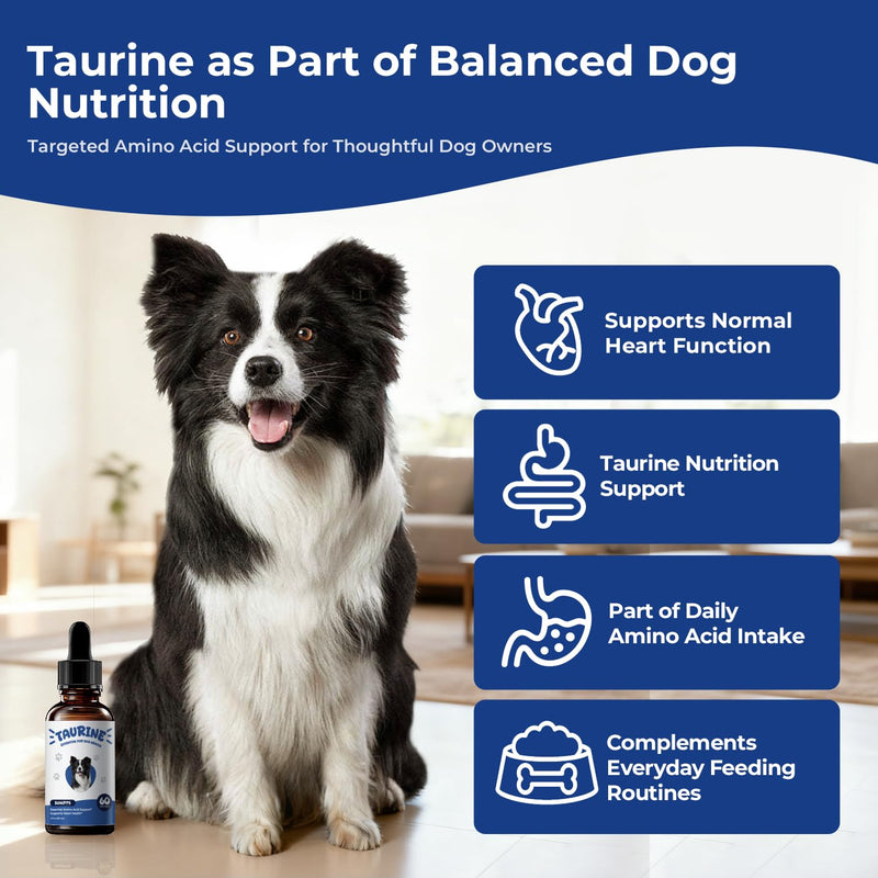 Taurine Supplement for Dogs Liquid Drops Amino Acid Support for Heart Health & Muscle Function, Easy to Add Canine Nutrition Supplement