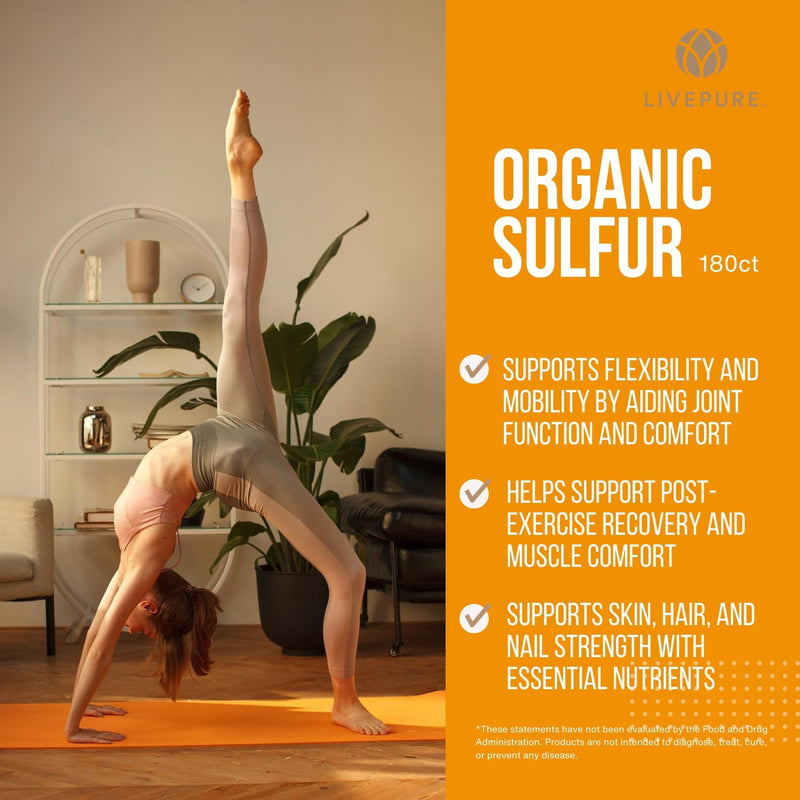 PURE | Organic Sulfur MSM | 180 Capsules | Premium MSM Powder for Joint Health | MSM Powder for Hair Growth and for Enhanced Health of Hair, Skin, and Nails | Vegan, Non-GMO, and Gluten Free - BeesActive Australia