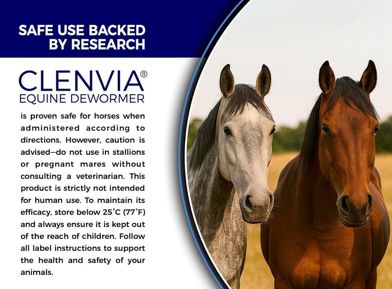 Horse Paste 10% – 1 Pack – 25g Syringes – Oral Deworming Paste for Horses of All Ages – Easy-to-Administer Equine Care