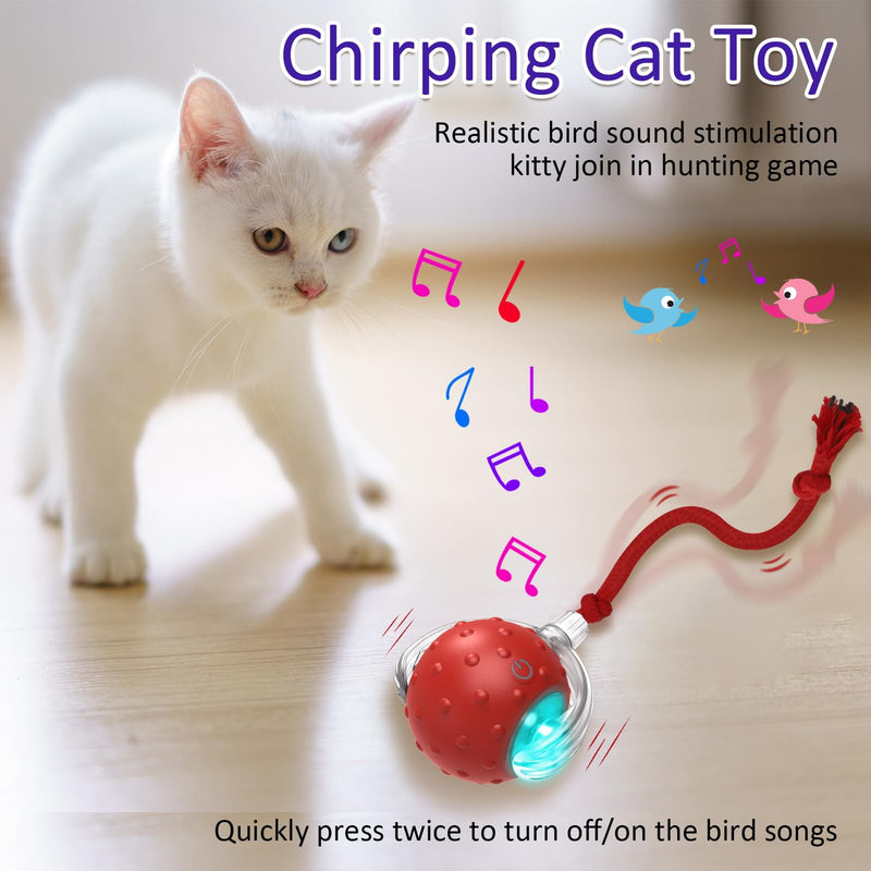 Cat Toys Interactive with Motion Activated & Chirping, Rolling Super Fast on Carpet Happy Party Game with Kittens - Red - BeesActive Australia